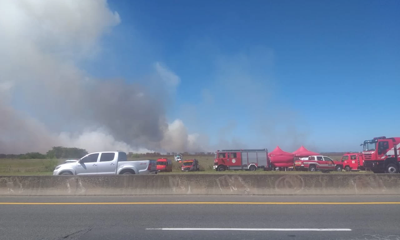 Nuevo incendio en la Reserva del Parque Pereyra: Tercer foco en enero
