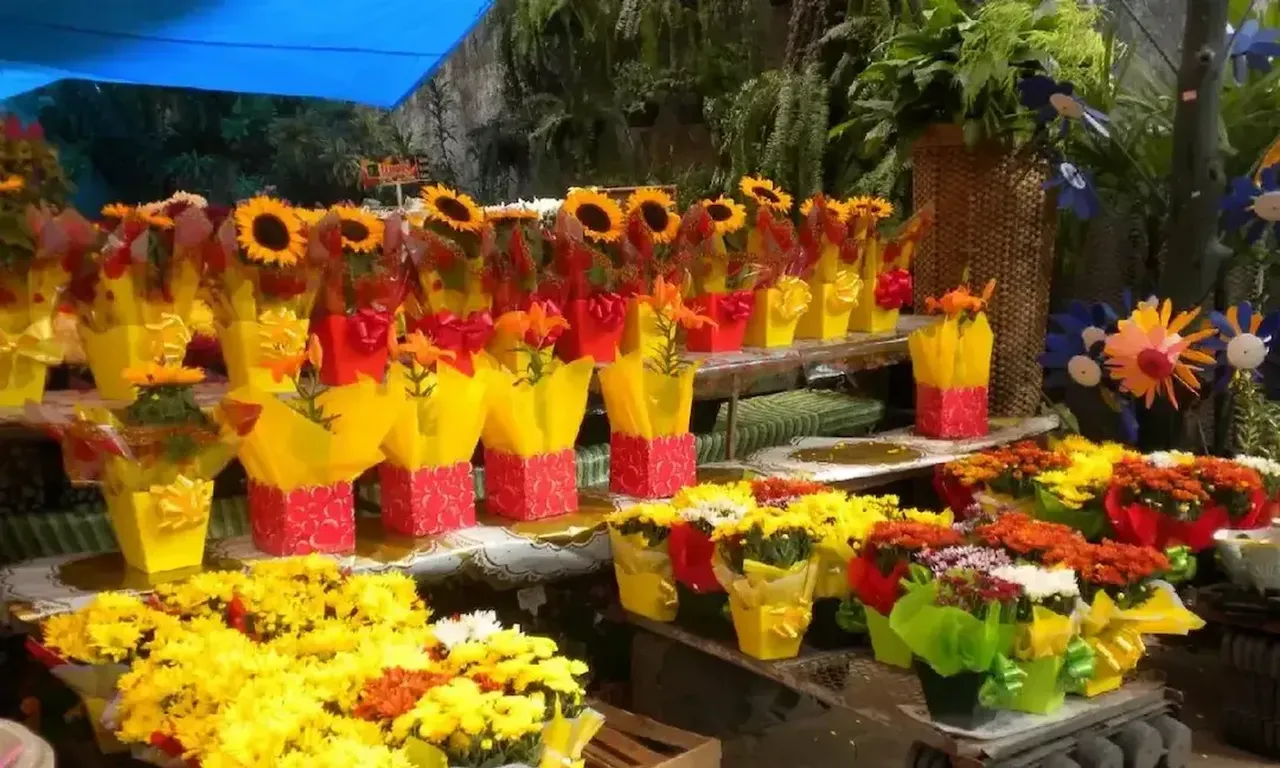 Jornada florícola en la peatonal Monteagudo: Un festival de colores y aromas