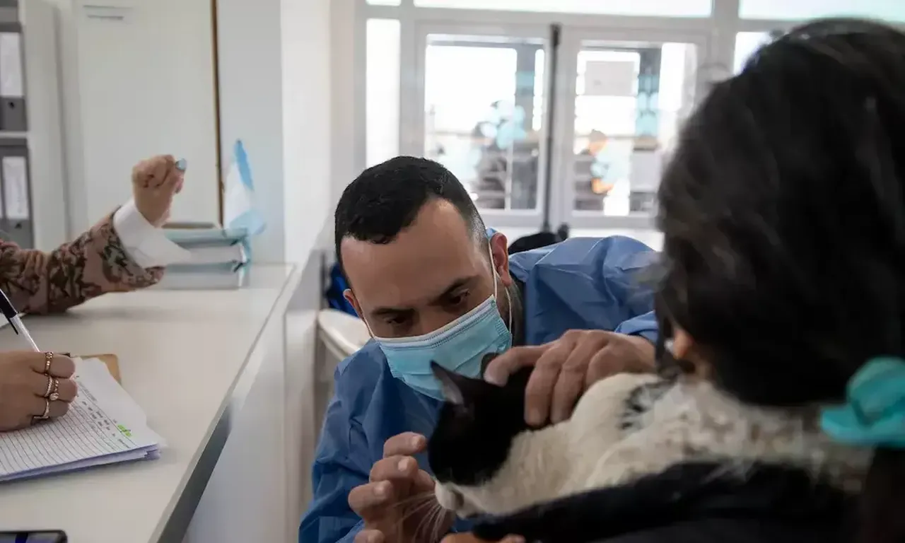 Avances en el Cuidado de Nuestros Compañeros de Cuatro Patas: Más de 77 mil Atenciones en el Centro Veterinario Municipal